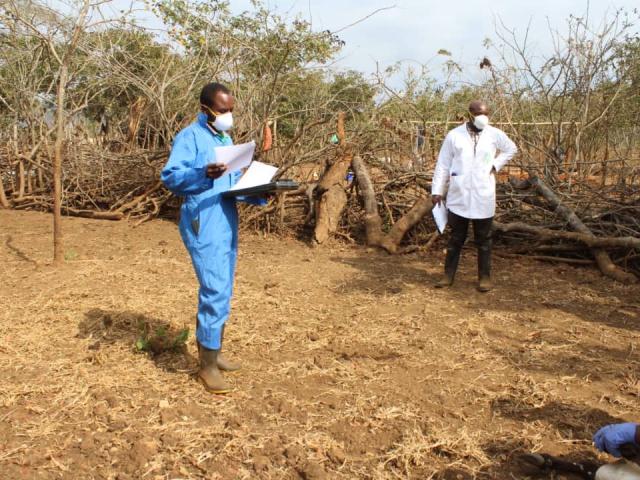 Crimean Congo Hemorrhagic Fever Virus research in Tanzania